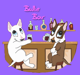 The Bullie Bar